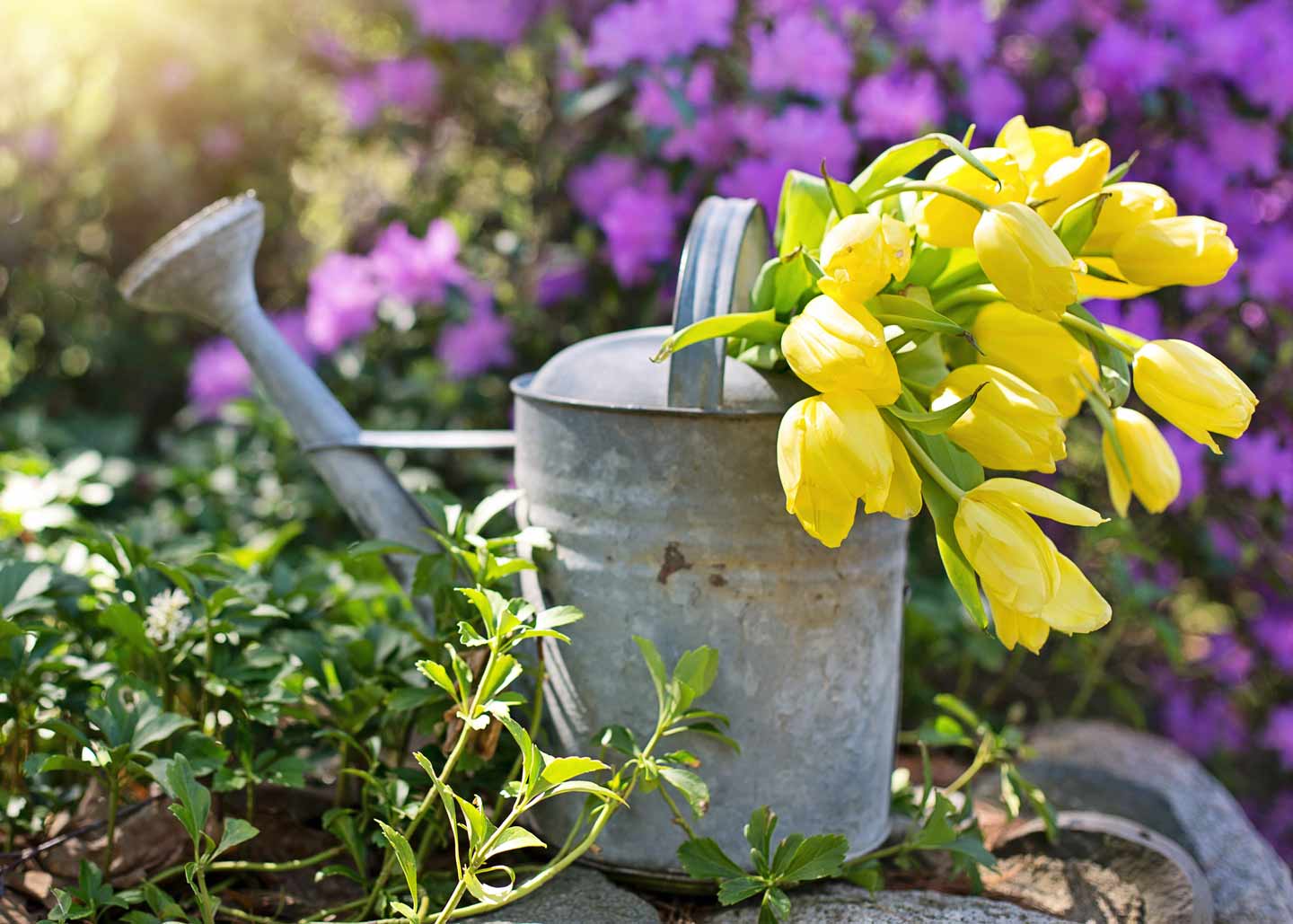 Giesskanne mit Blumen