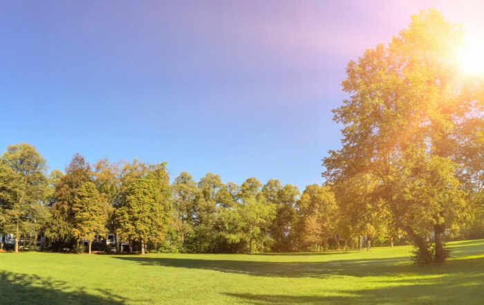 Grundstück mit Wald zu verkaufen