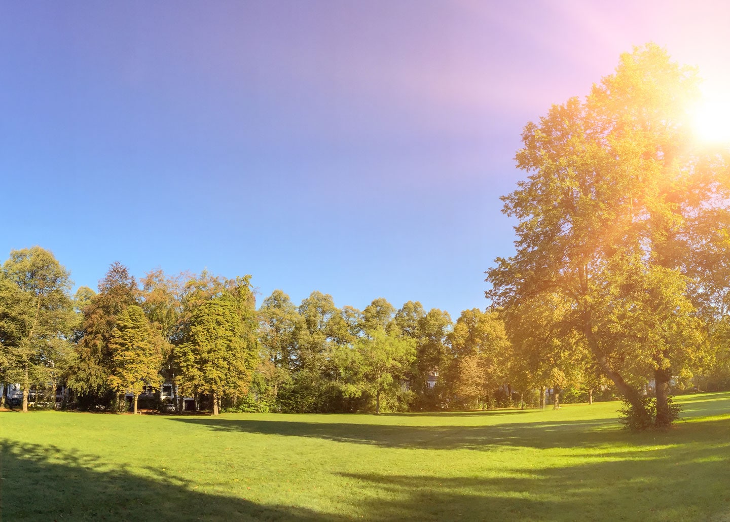 Grundstück mit Wald zu verkaufen