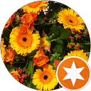 Andi L. profile picture