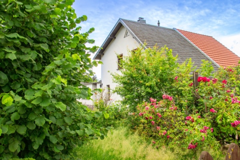 Rosen & Lavendel, 09232 Hartmannsdorf, Doppelhaushälfte