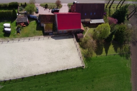 Hier schlagen Reiter­herzen höher- Resthof mit Pferdehaltung, 49419 Wagenfeld, Bauernhaus