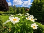 Garten Detail