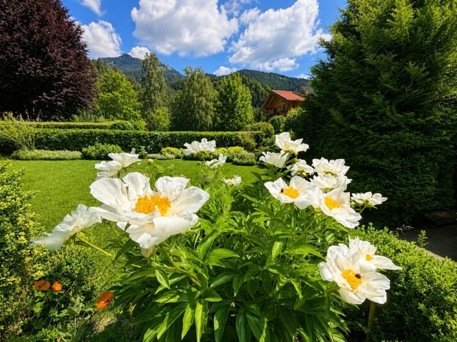 Garten Detail