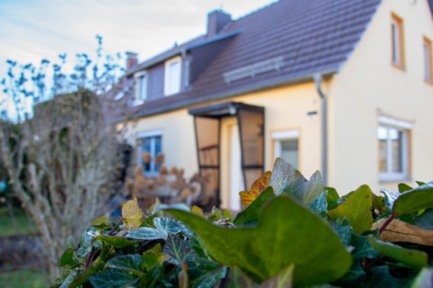 Ein Haus für Stadtmusikanten, 09337 Hohenstein-Ernstthal, Doppelhaushälfte