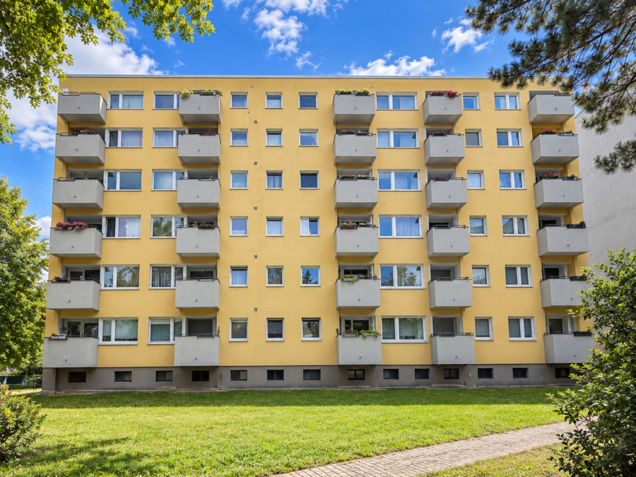 Rückseite