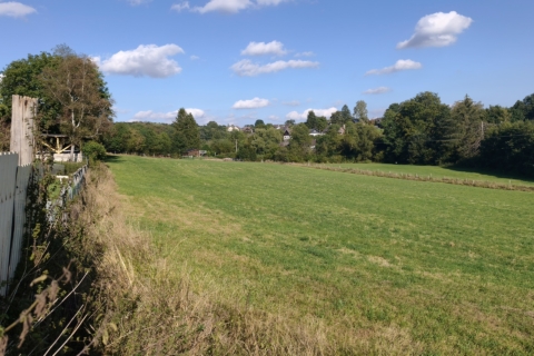 Landwirtschaftliche Fläche, 51580 Reichshof / Alpe, Land-/Forstwirtschaft