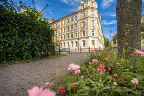 Altbaucharme trifft Wohnkomfort, 09130 Chemnitz, Etagenwohnung