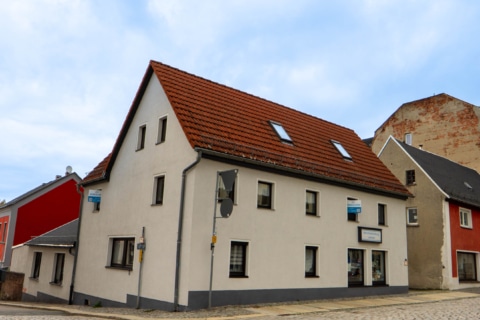 Grünes Refugium mitten in der Stadt, 09212 Limbach-Oberfrohna, Haus