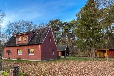 WOHNEN AM WALDRAND, 48369 Saerbeck, Einfamilienhaus
