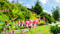 Blumen