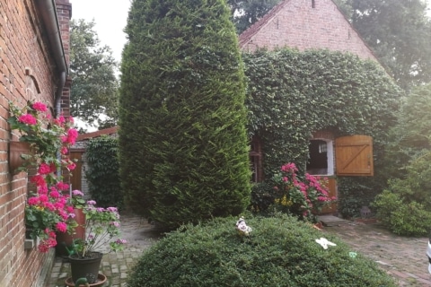 Leben im Grünen: Resthof mit Neben­ge­bäuden, Ausbau­re­serve und großem Grundstück, 49419 Wagenfeld, Bauernhaus