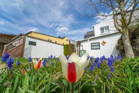 Charmante Doppel­haus­hälfte mit Garten­idylle in Chemnitz-Wittgensdorf, 09228 Chemnitz  / Wittgensdorf, Doppelhaushälfte