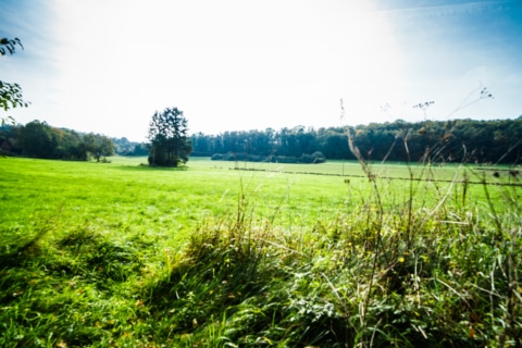 Hier ist Potential gefragt!, 49545 Tecklenburg, Bauernhaus