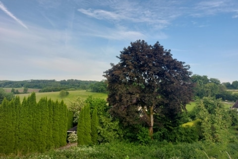 Bauland mit vielsei­tigem Potenzial in natur­naher&nbsp;Lage, 51580 Reichshof, Wohngrundstück