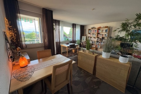 Südsonne inklusive - Praktische 2-Zimmer­wohnung in Radolfzell, 78315 Radolfzell am Bodensee, Etagenwohnung