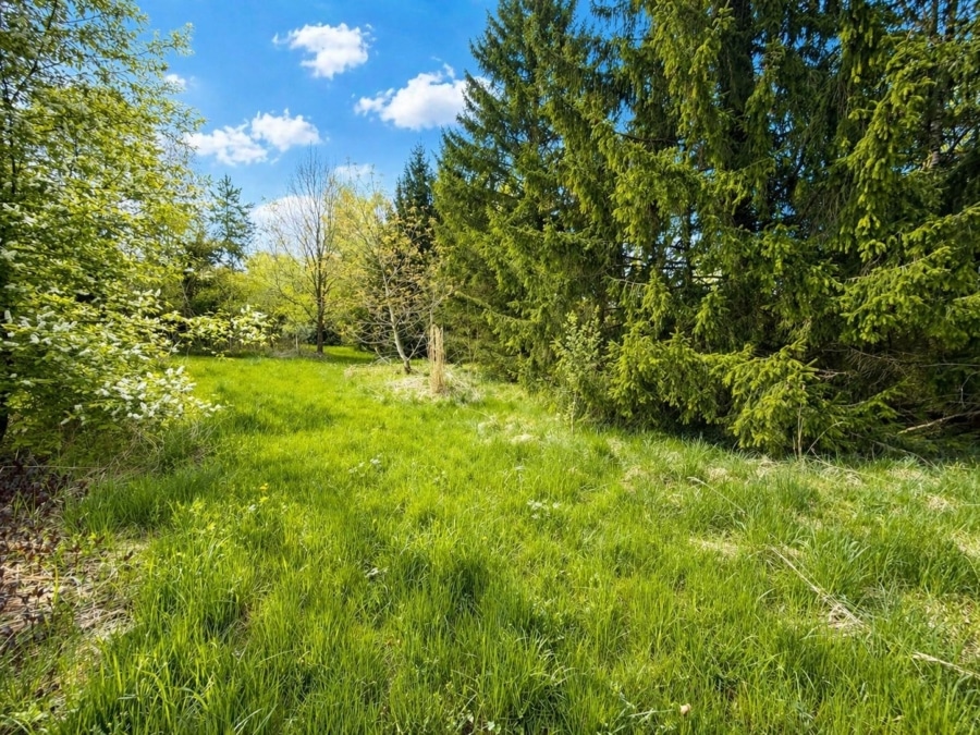 Grundstück 1