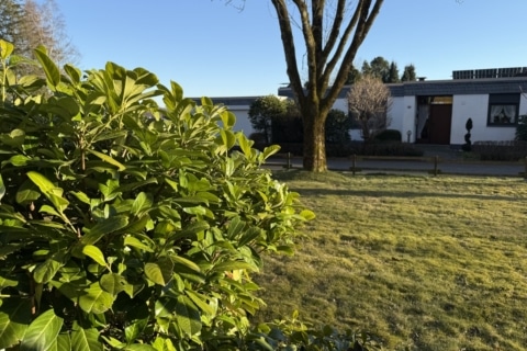 Ruhiges Wohnen auf einer Ebene – mit Terrasse ins Grüne, 58566 Kierspe, Etagenwohnung